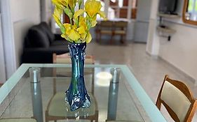 Pingvin Cukraszda Apartman Felso Szint